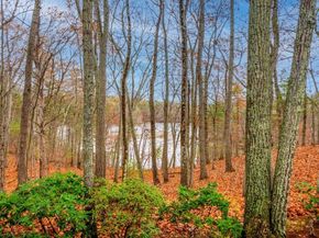 50 Windingwood  Lane 50, Lincoln MA 01773