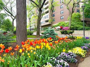 2 Hawthorne Pl 11M, Boston MA 02114