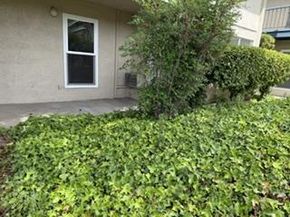 1731 Ellis Street 26, Concord CA 94520