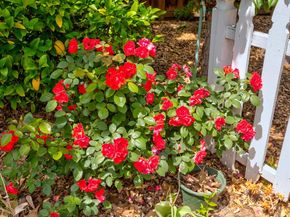 7685 Los Padres Court, Gilroy CA 95020