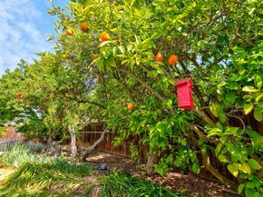 7685 Los Padres Court, Gilroy CA 95020