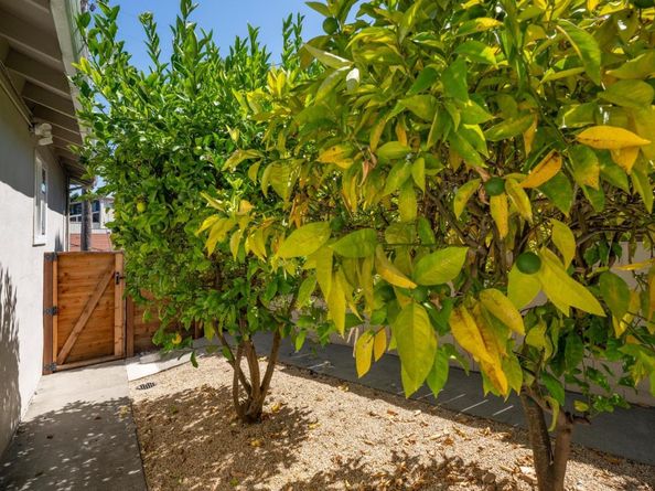 25 Bertocchi Lane, Millbrae CA 94030