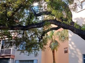 6731 Cypress Rd 310, Plantation FL 33317