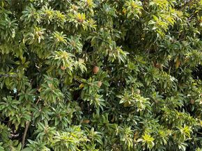 250 E 60th St, Hialeah FL 33013