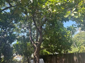 2530 Washington St, Hollywood FL 33020