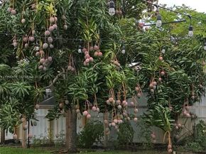 1318 SW 49th Ter, Fort Lauderdale FL 33317