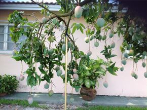 3740 W 5th Ct, Hialeah FL 33012