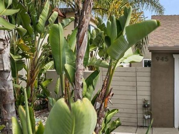 943 Windy Hill, Encinitas CA 92024