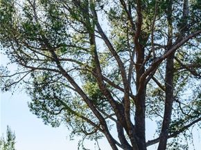 10961 Limetree, Tustin CA 92705