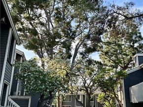 25579 Pine Creek Lane, Wilmington (los Angeles) CA 90744