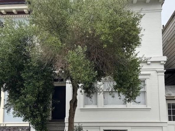 1264 3rd Avenue, San Francisco CA 94122