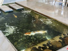 7634 E Diane Drive, Orange CA 92869