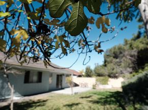 4835 Glenhaven Dr, Oceanside CA 92056