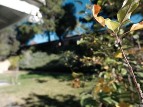 4835 Glenhaven Dr, Oceanside CA 92056