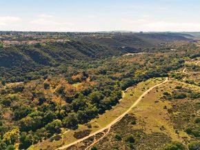 7665 Salix Place, San Diego CA 92129