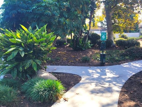 243 Flame Tree Place, Oceanside CA 92057