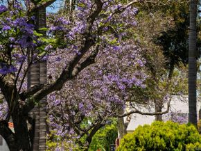 3266 1st Ave. 20, San Diego CA 92103