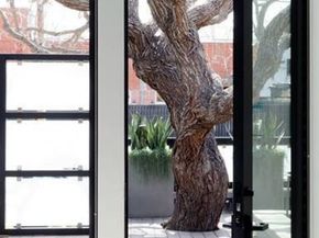 708 Hampton Drive, Venice CA 90291