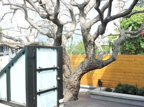 708 Hampton Drive, Venice CA 90291