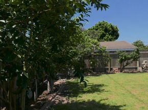 854 Rose Avenue, Venice CA 90291