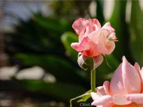 21408 Berendo Avenue, Torrance CA 90502