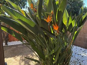 9213 Independence Way, North Hills CA 91343