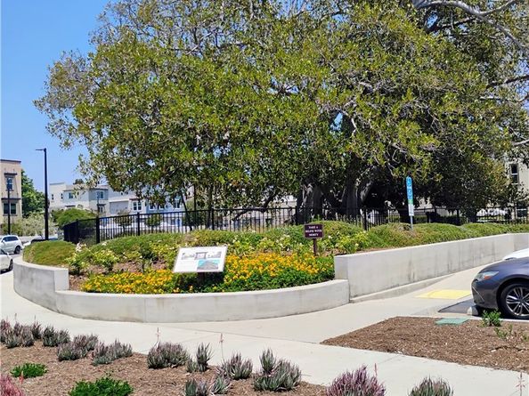 533 Daniel Freeman Circle, Inglewood CA 90301