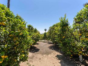 16733 Calle Hermosa, San Diego CA 92127