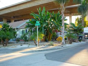 3422 Trophy, La Mesa CA 91941