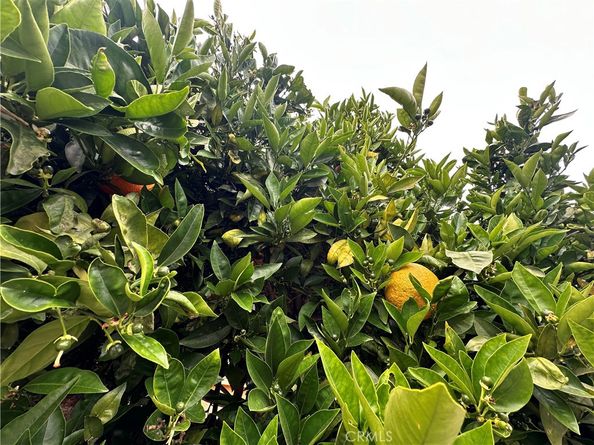 6127 Adenmoor Avenue, Lakewood CA 90713