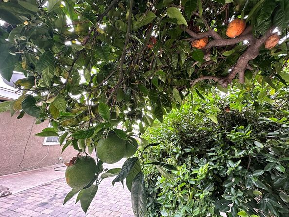 6127 Adenmoor Avenue, Lakewood CA 90713