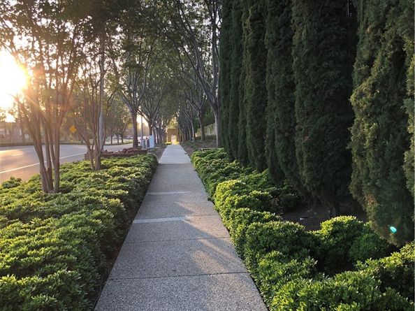 122 Vintage 20, Irvine CA 92620