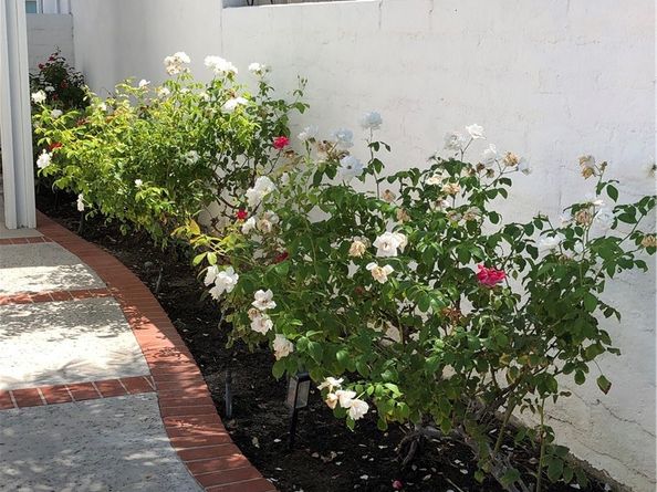 21341 Manzanillo, Mission Viejo CA 92692