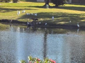 3668 Quail Ridge Drive N, Boynton Beach FL 33436