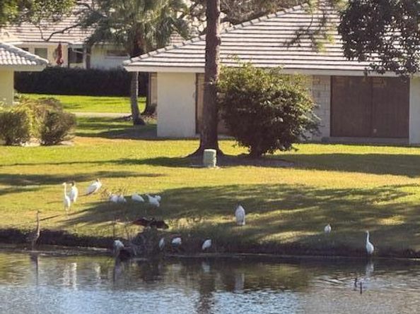 3668 Quail Ridge Drive N, Boynton Beach FL 33436