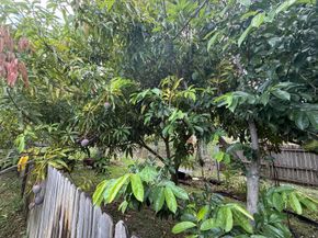 320 W 29th Street, Riviera Beach FL 33404