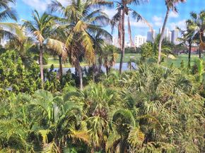 700 NE 14th Avenue 407, Hallandale Beach FL 33009