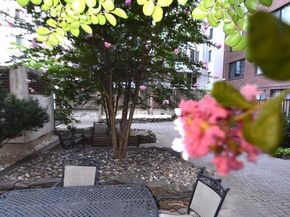 1245 13TH Street NW 902, Washington DC 20005