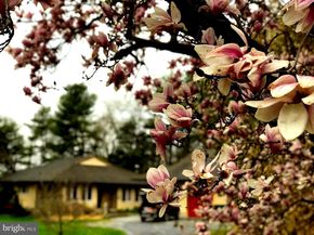 4482 Lower Mountain Road, New Hope PA 18938