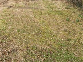 2316 Monroe Street NE, Washington DC 20018