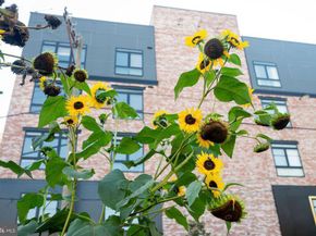 3409 W Lippincott Street, Philadelphia PA 19132