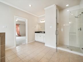 14426 BASALT Lane, Houston TX 77077