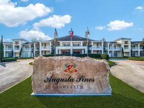 17 S Shadow Creek Villas Loop, Spring TX 77389