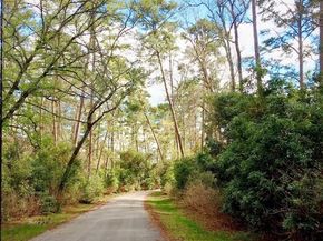 243 Navasota Narrows Way, Conroe TX 77304