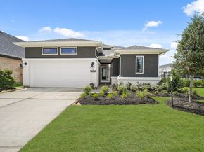 21531 Sand Fringepod Way, Cypress TX 77433