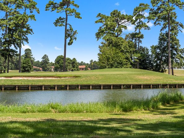 34 W Shadow Creek Villas Loop, Spring TX 77389