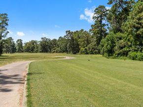 34 W Shadow Creek Villas Loop, Spring TX 77389