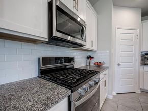 1123 Vine House Drive, Richmond TX 77406