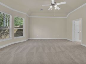 3 Chauncey Court, Conroe TX 77384