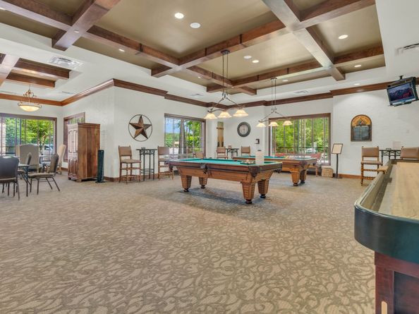 3 Chauncey Court, Conroe TX 77384